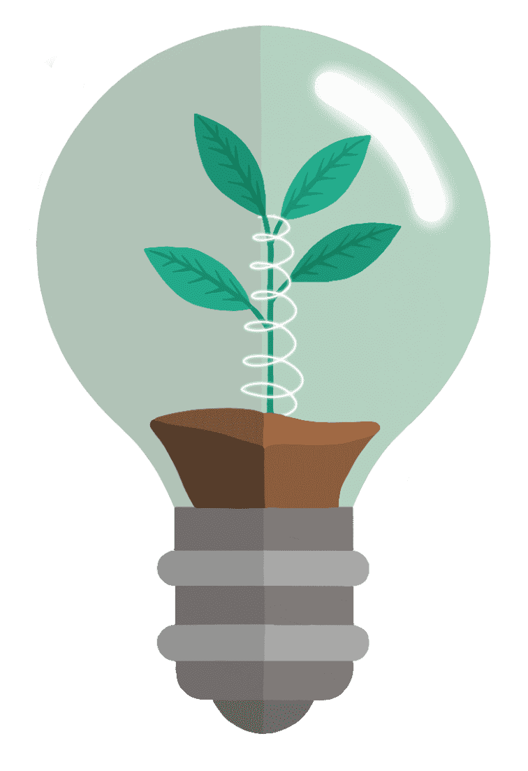 Light Bulb