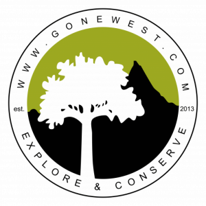 cropped-Tree-logo-01.png