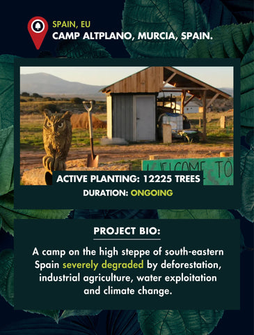 Regenerating the land in Spain