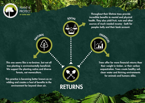 Plant and protect projects