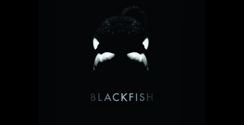 Black Fish