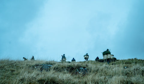 Tree planting in Scotland