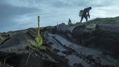 Tree planters