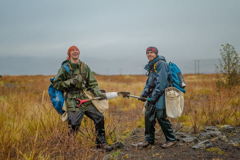 Iceland tree planting