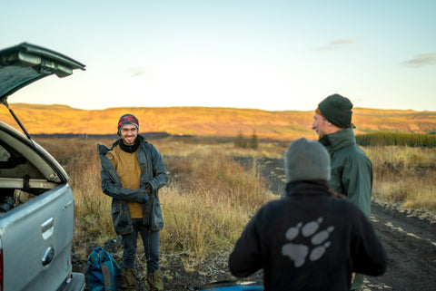 Tree planting in Iceland