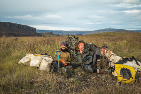 Planting in Iceland