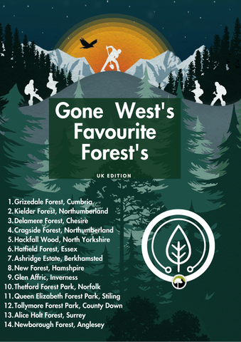 Our favorite forests