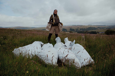 Scottish tree planting record