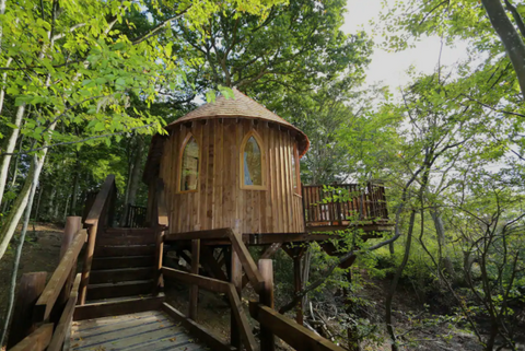 Airbnb Luxurious Treehouse