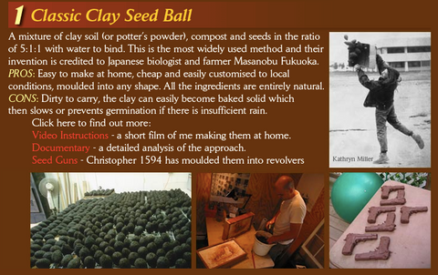 Clay Seed Ball