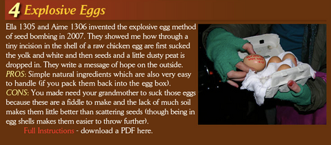 Explosive Eggs
