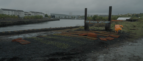 Scottish Railway tree planting day