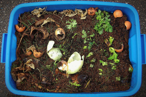 Compost