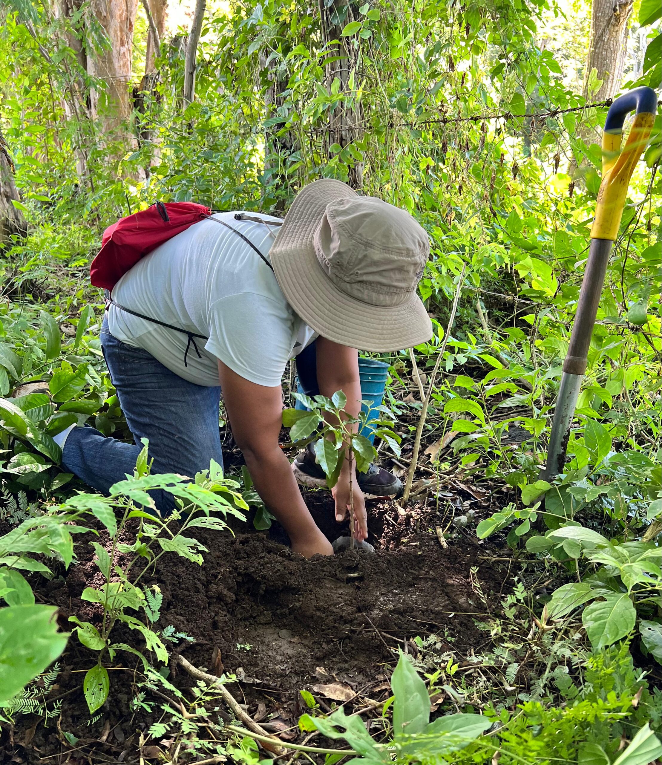 WhatsApp Image 2026-02-12 at 18.12.04